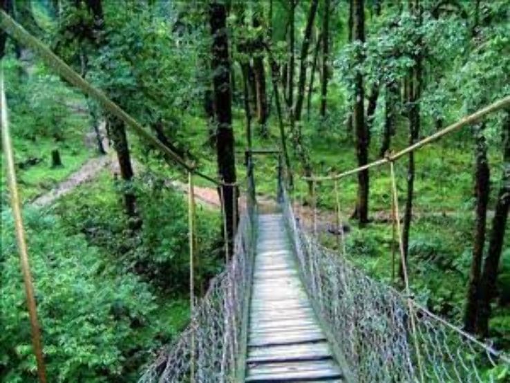 Canopy Walk Lo Trip Packages